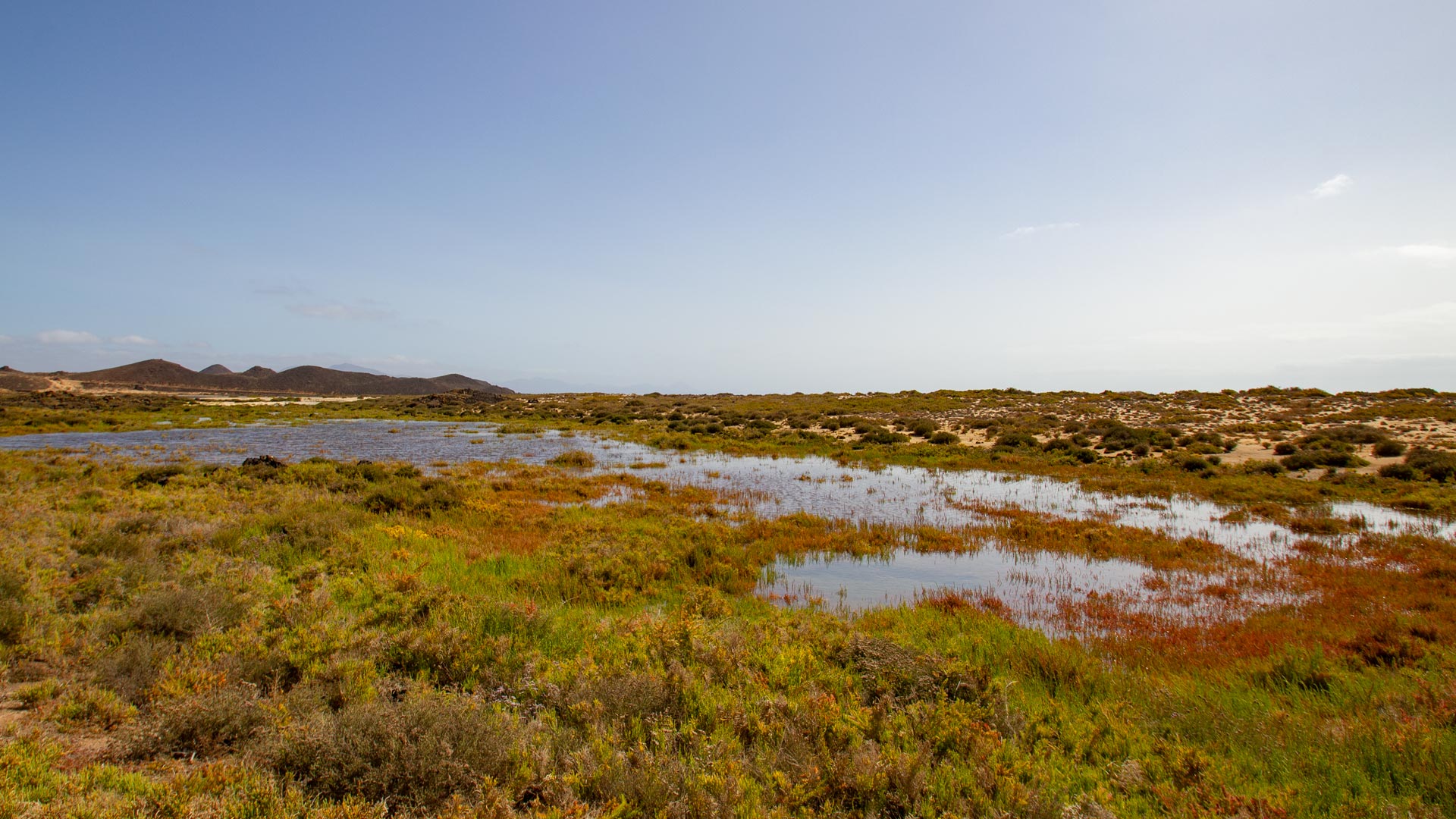 Sanddünen von Jandía auf Fuerteventura