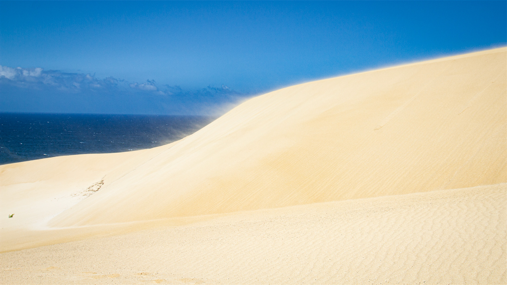 Sanddünen von Jandía auf Fuerteventura