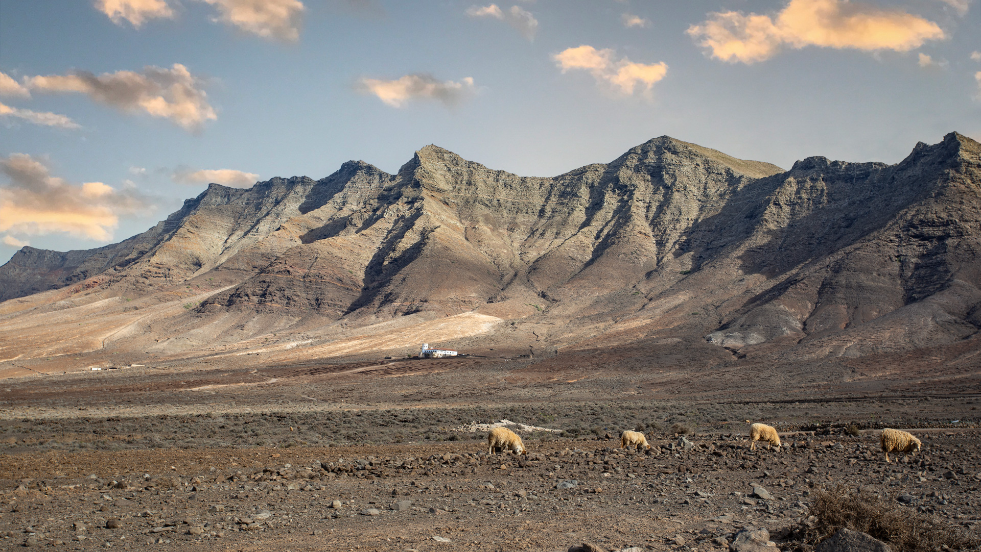 Sanddünen von Jandía auf Fuerteventura