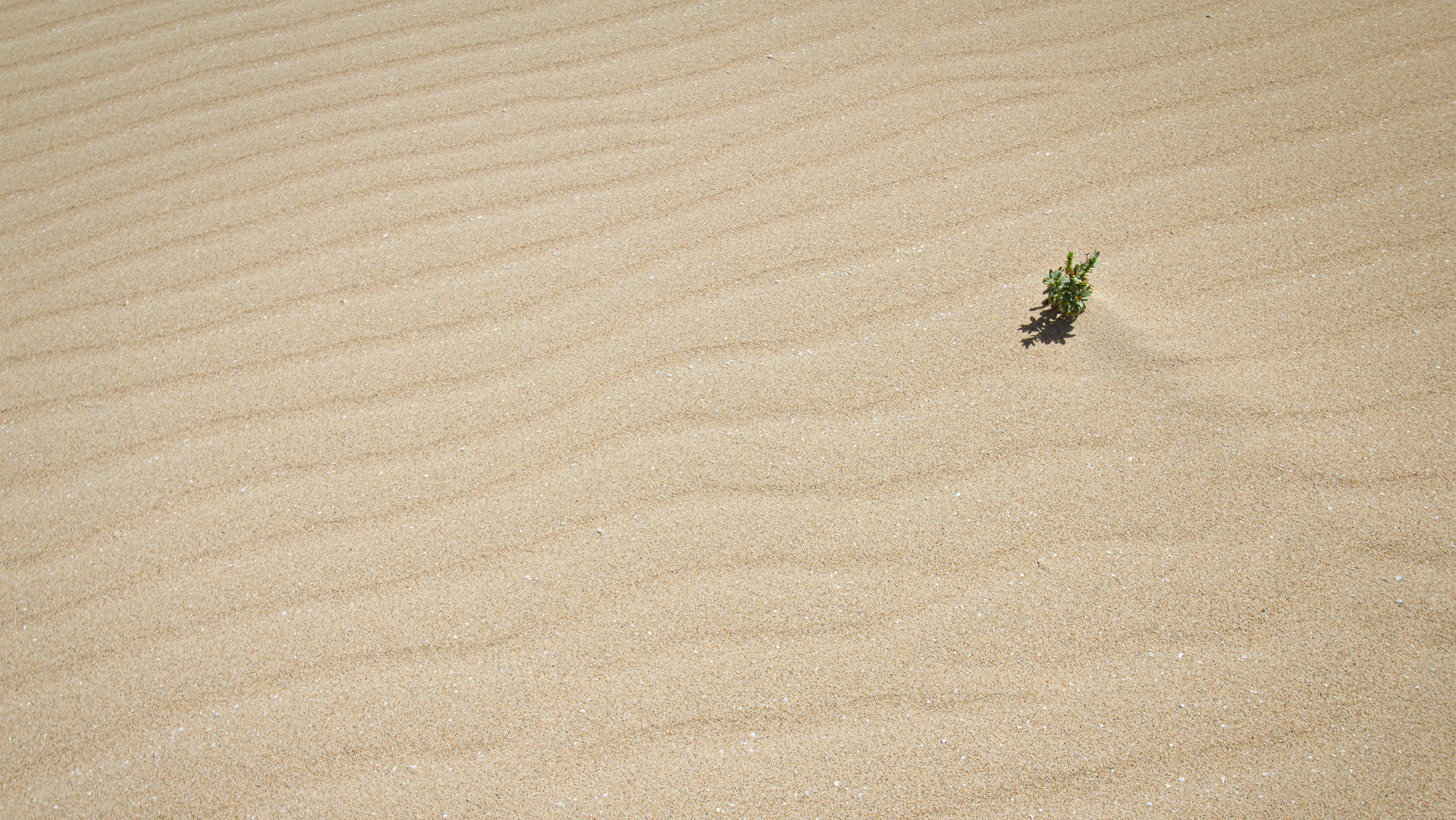 Sanddünen von Jandía auf Fuerteventura